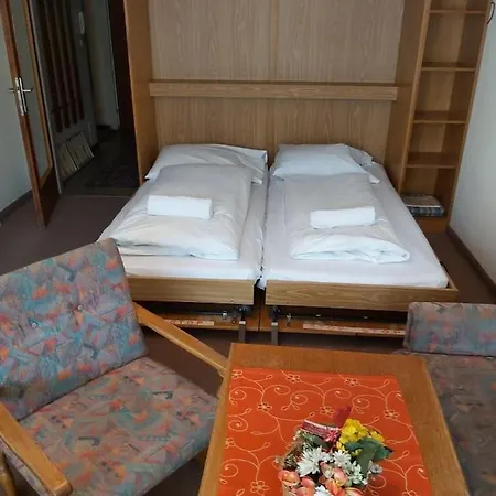 Low Budget Studio Nostalgia, Ski And Mountain Walking Apt, By Apts Ged Zell am See